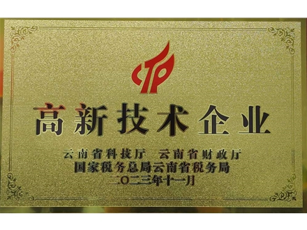 高新技術企業(yè)